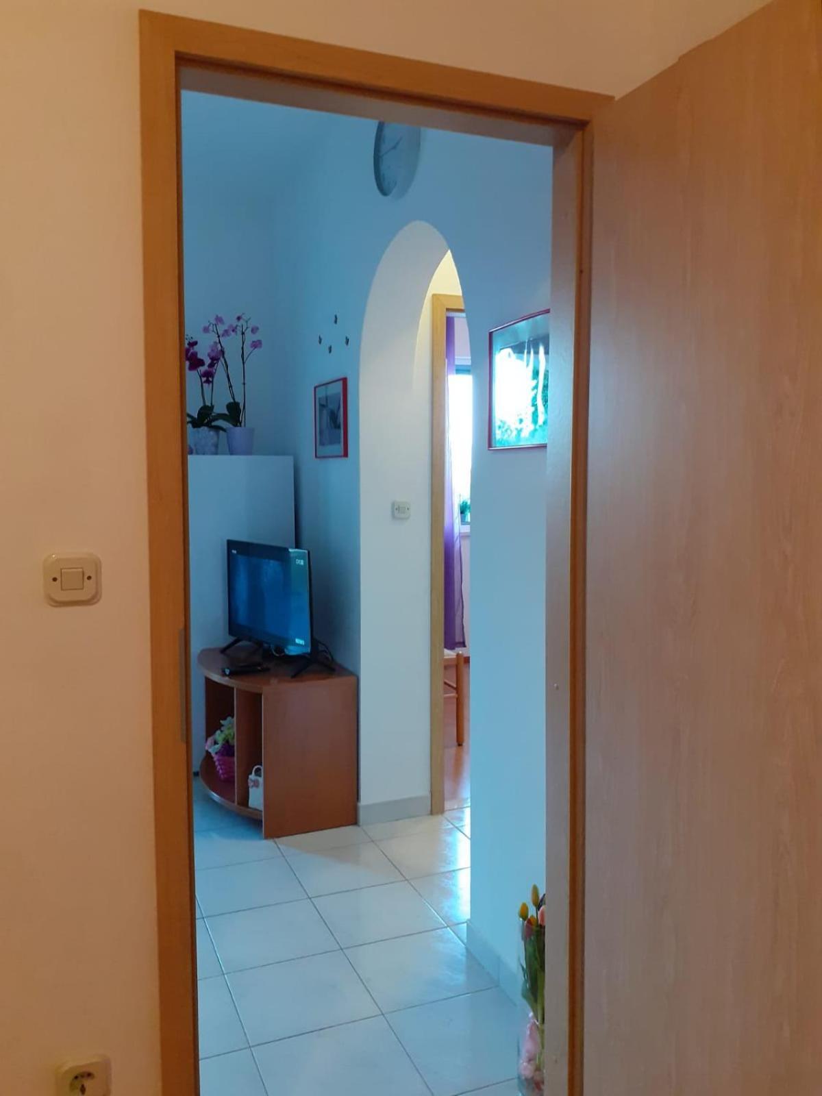 Apartments Borovina Бол Номер фото
